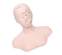 Modelo De Cabeza Masaje Realista Con Estructura Relleno Estable Y Diseño Ergonómico Para Academias Belleza Cabeza Práctica Masaje Facial