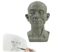 Modelo de cabeza para artistas, modelo para artistas que aprenden planos de cara, para aprender planos y detalles de luz, cabeza de maniquí pequeña para dibujo artístico y estudio de skecthing (estilo