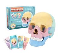 Modelo de calavera humana, cabeza de esqueleto de color desmontable, ayuda de estudio anatómica, 5.7 x 3.4 x 4.33 pulgadas, diseño de estructura realista, ideal para estudio, aula y práctica cosmética