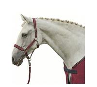 Modelo de cama para caballos Estrellas suaves y acolchadas Hkm Sports Equipment