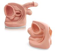 Modelo de cateterismo - Herramienta de enseñanza de anatomía masculina y femenina, modelo de catéter de PVC para práctica de enfermería y educación clínica médica