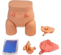 Modelo de cateterismo, modelos de cateterismo masculino y femenino, modelo de anatomía genital interna y externa, for enfermería, educación médica y práctica práctica.