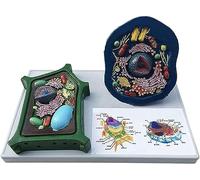 Modelo de células animales y vegetales, modelo educativo anatómico de enseñanza para estudio de biología, exhibición y fines de estudio, ideal para el aula y el aprendizaje en casa