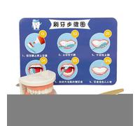 Modelo de Cepillado de Dientes - Modelo de higiene para niños | Modelos de Dientes interactivos con Cepillo de Dientes y Diagrama de Pasos | Herramienta de atención educativa | ABS Ayuda d
