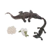 Modelo de Ciclo de Crecimiento Animal Conjunto de Educación Temprana PVC Figuras de Animales de Reptil para Niños para Niños para Educación en Jardín de Infantes