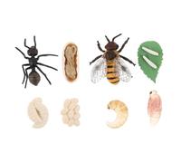 Modelo de Ciclo de Crecimiento de Abejas y Hormigas, 2 Juegos | Plástico Ligero, Modelos Artificiales Realistas, para Enseñanza Escolar, Fácil de Agarrar, Estimula Imaginación