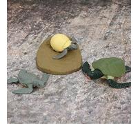 Modelo de Ciclo de Vida Animal Modelo de Altamente Simulación Toy de Aprendizaje Educativo para Niños Niños PVC Material Chick Tortoise Cycle de Vida (Ciclo de Crecimiento de