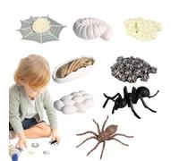 Modelo De Ciclo De Vida Genérico | Plantilla De Ciclos De Crecimiento De Hormigas | Kit De Crecimiento Animal, Figuras De Juguetes Educativos, Colección De Ciclo De Vida para Niños, Niñas Y En