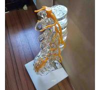 Modelo de columna lumbar, modelo anatómico de vértebras, sacro, coxis con disco de herniación, modelo de columna vertebral de anatomía humana para estudio, exhibición y enseñanza