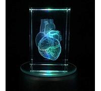 Modelo de corazón humano de cristal de cristal Modelo anatómico Papel Papel (grabado láser) en el regalo de ciencias del cubo (Base LED incluida) Ornamentos creativos,5 * 5 * 8cm