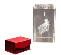 Modelo de cristal de anatomía humana: cerebro, corazón, pulmón, esqueleto, diente en cubo de vidrio K9, pisapapeles de ciencia educativa(Heart)
