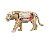 ＡＷＨＡＯ Modelo de Cuerpo Animal para Aprendizaje, Material didáctico, Rompecabezas para, Herramienta de demostración de biología Animal para enseñar a, 3107
