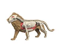 ＡＷＨＡＯ Modelo de Cuerpo Animal para Aprendizaje, Material didáctico, Rompecabezas para, Herramienta de demostración de biología Animal para enseñar a, 3108