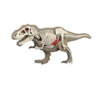 ＡＷＨＡＯ Modelo de Cuerpo Animal para Aprendizaje, Material didáctico, Rompecabezas para, Herramienta de demostración de biología Animal para enseñar a, 3101