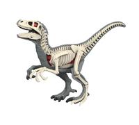 ＡＷＨＡＯ Modelo de Cuerpo Animal para Aprendizaje, Material didáctico, Rompecabezas para, Herramienta de demostración de biología Animal para enseñar a, 3105