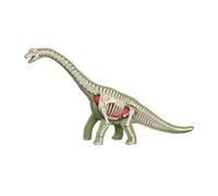 ＡＷＨＡＯ Modelo de Cuerpo Animal para Aprendizaje, Material didáctico, Rompecabezas para, Herramienta de demostración de biología Animal para enseñar a, 3103