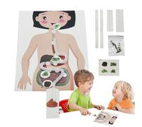 Modelo De Cuerpo De Anatomía Humana - Kits De Modelo De Esqueleto Del Cuerpo Humano, Kit Interactivo De Ciencia De Anatomía | Juguete Educativo Enseñanza De Ciencias Divertido Y Educativo Para Niños,