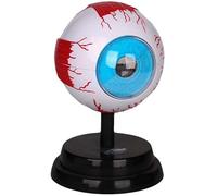 Modelo de Cuerpo, Globo Ocular, anatomía, Modelo anatómico Ocular, Modelo de órgano Humano Desmontable for enseñanza educativa, Equipo de Laboratorio, Estudio, enseñanza, enseñanza médica
