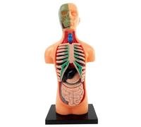 Modelo De Cuerpo Humano Para Niños Modelo De Anatomía Extraíble 3d De 5,5 Pulgadas Anatomía Educativa De Plástico Jane Doll Para Estudiantes Modelo De Cuerpo Humano Para Niños Anatomía Jane Doll Anato
