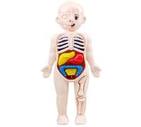 Modelo de cuerpo humano para niños |.Modelo de cuerpo humano de 7x4 pulgadas para niños, órganos de anatomía, ABS desmontable, sin rebabas, juguetes científicos, anatomía educativa para mayores de