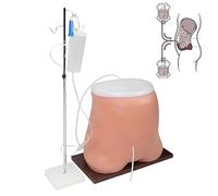 Modelo de diálisis peritoneal dinámico humano, modelo de diálisis peritoneal para formación médica con soporte y tubo, simulador de maniquí abdominal para demostración y estudio