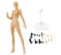 Modelo de dibujo de figura de acción, gestos de 5.9 pulgadas artistas posibles maniquí con soporte de soporte y accesorios, maniquí de dibujo liviano para dibujar, pintar, dibujar (mujer)