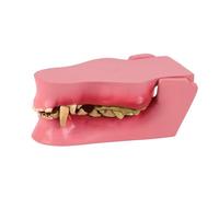 Modelo de dientes de perro para múltiples aplicaciones de escenas para la formación veterinaria, entrenamiento de cuidado de mascotas y aprendizaje en casa en materiales de PVC, modelo de dientes para