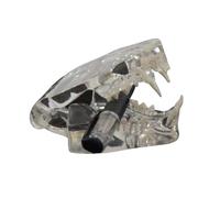 Modelo de dientes orales para gatos, modelo anatómico transparente para clínica de mascotas, suministros de enseñanza anatómica para aula, modelos de anatomía animal transparente para educación