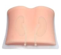 Modelo de ecografía renal, maniquí de anatomía renal avanzada, utilizado for la enseñanza y práctica de biopsia por punción renal, drenaje de punciones y nefroscopia percutánea.