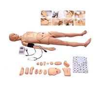 Modelo De Enfermería Avanzado De 170 Cm Con Todas Las Funciones Y Medición De Presión Arterial. Modelo Médico. Modelo De Formación En Enfermería. Maniquí Educativo Para Atención Al Paciente. Enfermer