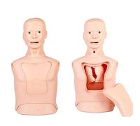 Modelo de enfermería de medio cuerpo. Intubación de las vías respiratorias. Maniquí de medio cuerpo. Modelos de enseñanza. Modelo avanzado para el cuidado de la sonda nasogástrica y la tráquea. Mode