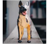 Modelo de ensamblaje de anatomía de perro lobo 4D Vision Modelo de anatomía canina 29 piezas Órganos extraíbles Partes del cuerpo para entrenamiento médico Anatomía de la inteligencia Ensamblaje de ór
