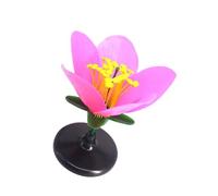 Modelo de enseñanza de flores desmontables de color auténtico, escuela secundaria, suministros educativos de ciencias biológicas, modelo de flores de disección modular