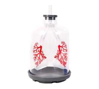 Modelo de enseñanza de intercambio de gases pulmonares para el movimiento del diafragma en el entrenamiento respiratorio Formato de gran tamaño para un aprendizaje eficaz Modelo de respiración