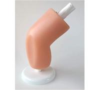 Modelo de enseñanza de maniquí: modelo de simulación de articulación de rodilla, simulador de artroscopio, modelo de entrenamiento artroscópico de rodilla para entrenamiento médico de enfermería.
