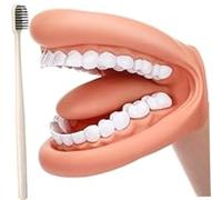 Modelo de enseñanza Dental: marioneta de demostración de Salud bucal con Lengua y Dientes móviles, con Cepillo de Dientes para niños, Herramienta de Habla