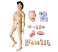 Modelo De Enseñanza, Habilidades Básicas De Enfermería, Maniquí De Entrenamiento De Tamaño Natural De 1,67 M, Habilidades De Atención Al Paciente, Maniquí Médico Con Módulo De Trauma, 24 Ejercicios B