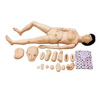 Modelo de enseñanza, Habilidades básicas de enfermería, maniquí de tamaño Natural de 5,57 pies, Habilidades de Cuidado del Paciente, maniquí Humano médico con módulo de Trauma