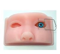 Modelo de enseñanza, Modelo de Cabeza Humana para cirugía oftálmica, cavidad Ocular de Silicona para cirugía oftálmica para micromanipulación, Ojos de Animales, Ejercicio