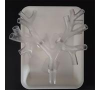 Modelo de entrenamiento de broncoscopia, broncoscopio de resina, modelo de anatomía del árbol bronquial, conjunto de fibra bronquial, regalo médico, for la enseñanza(Level 3 transparent)