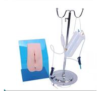 Modelo de entrenamiento de catéter urinario, modelo anatómico genital masculino/femenino for práctica de cateterismo urinario, modelo de estudio de enseñanza de cuidados básicos simulación(Female)