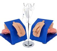 Modelo de entrenamiento de cateterismo, simulador de enema masculino y femenino con genitales internos y externos para práctica de habilidades médicas y educación sanitaria
