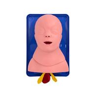 Modelo de entrenamiento de intubación infantil, simulador de intubación de vías aéreas para bebés, maniquí de entrenamiento traqueal