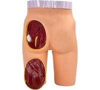 Modelo de entrenamiento de inyección de glúteos con cadera extraíble para práctica médica, anatomía realista para estudiantes y enfermeras