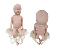 Modelo de entrenamiento de partera - Modelo flexible de muñeca de silicona para pelvis femenina - Pelvis parto, ginecología,