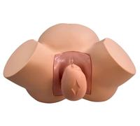 Modelo de entrenamiento de parto de tamaño real, simulador de ginecología obstétrica para enseñar posiciones fetales normales y anormales, maniquí de maternidad