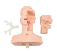 Modelo de entrenamiento de succión nasal y oral, simulador avanzado de práctica de enfermería médica para técnicas de succión