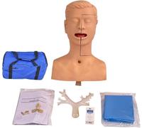 Modelo de entrenamiento de succión oral de cavidad nasal, modelo de práctica de succión avanzada, simulador de manejo de vías respiratorias de tamaño natural 1:1