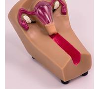 Modelo de entrenamiento en anticoncepción intrauterina femenina: simulador de DIU for estudiantes de enfermería en la práctica de obstetricia y ginecología.