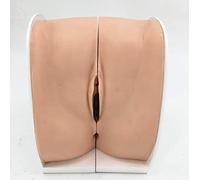 Modelo de entrenamiento, modelo de entrenamiento de dispositivo anticonceptivo intrauterino, simulador de práctica femenina de PVC, modelo de entrenamiento ginecológico, modelo de entrenamiento médico